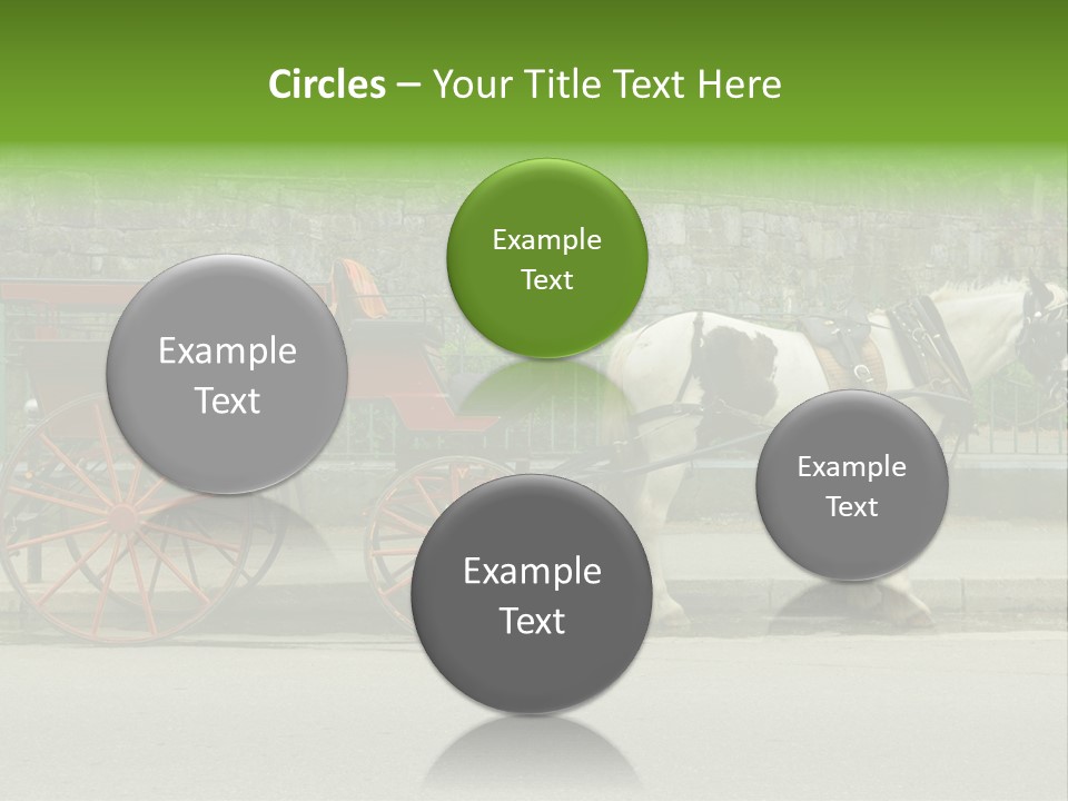 Wild Wild Animal White Background PowerPoint Template