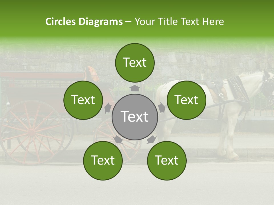 Wild Wild Animal White Background PowerPoint Template