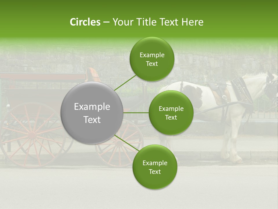 Wild Wild Animal White Background PowerPoint Template