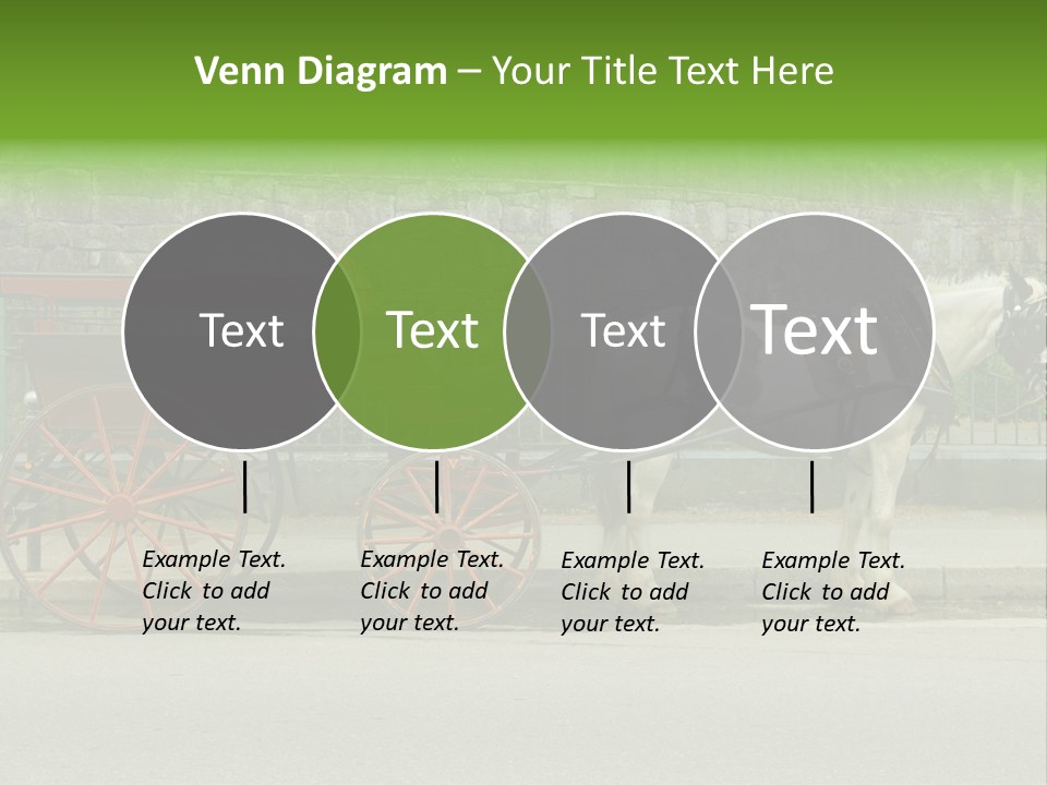 Wild Wild Animal White Background PowerPoint Template