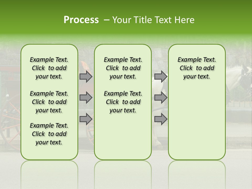 Wild Wild Animal White Background PowerPoint Template