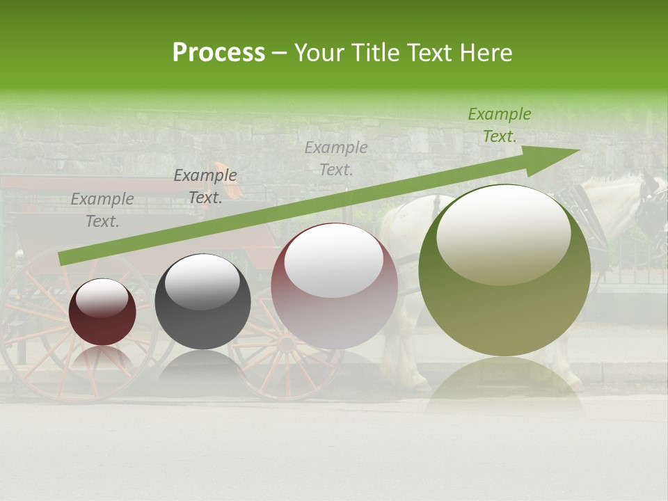 Wild Wild Animal White Background PowerPoint Template