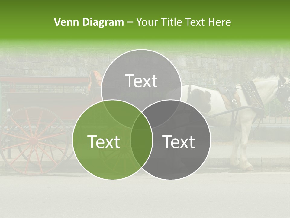 Wild Wild Animal White Background PowerPoint Template