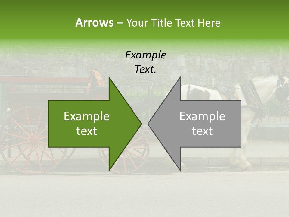 Wild Wild Animal White Background PowerPoint Template