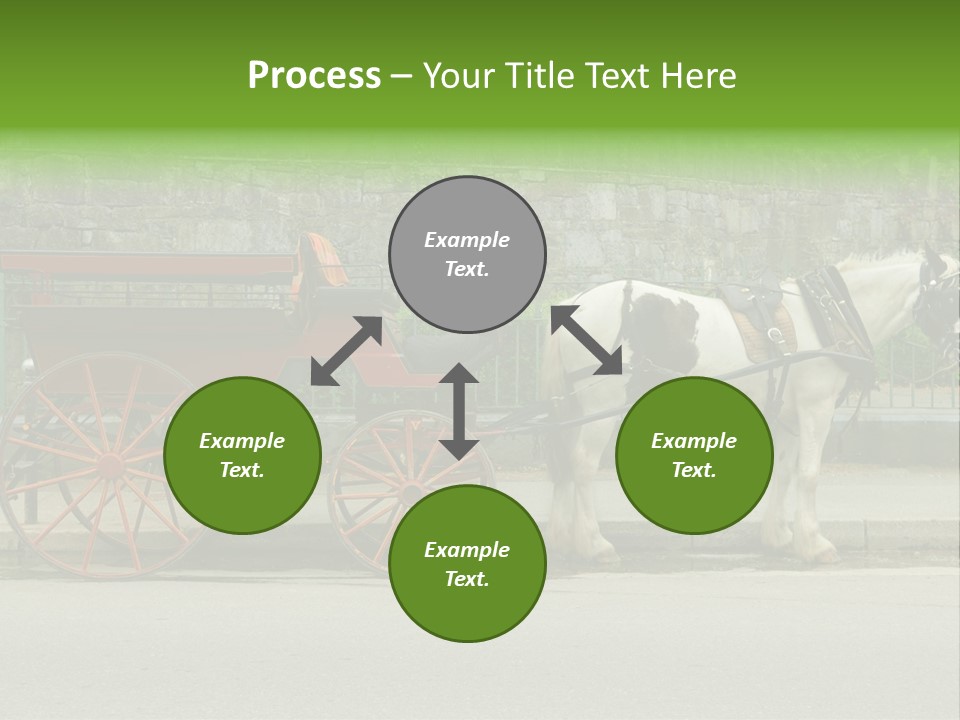 Wild Wild Animal White Background PowerPoint Template