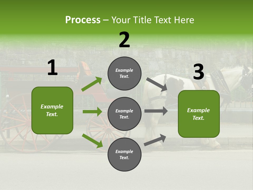 Wild Wild Animal White Background PowerPoint Template