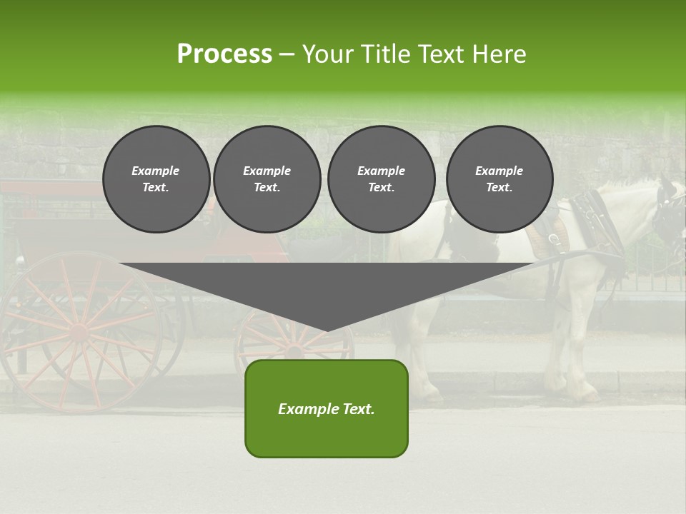 Wild Wild Animal White Background PowerPoint Template