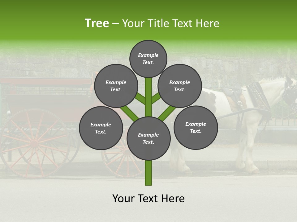 Wild Wild Animal White Background PowerPoint Template