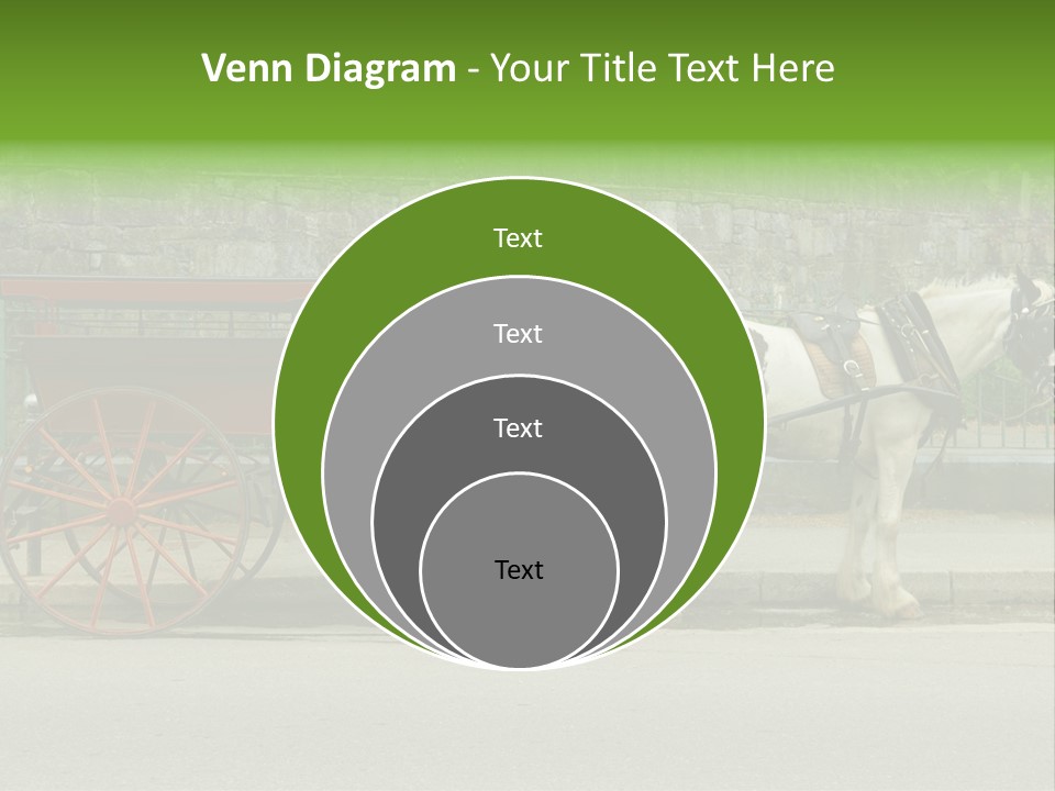 Wild Wild Animal White Background PowerPoint Template