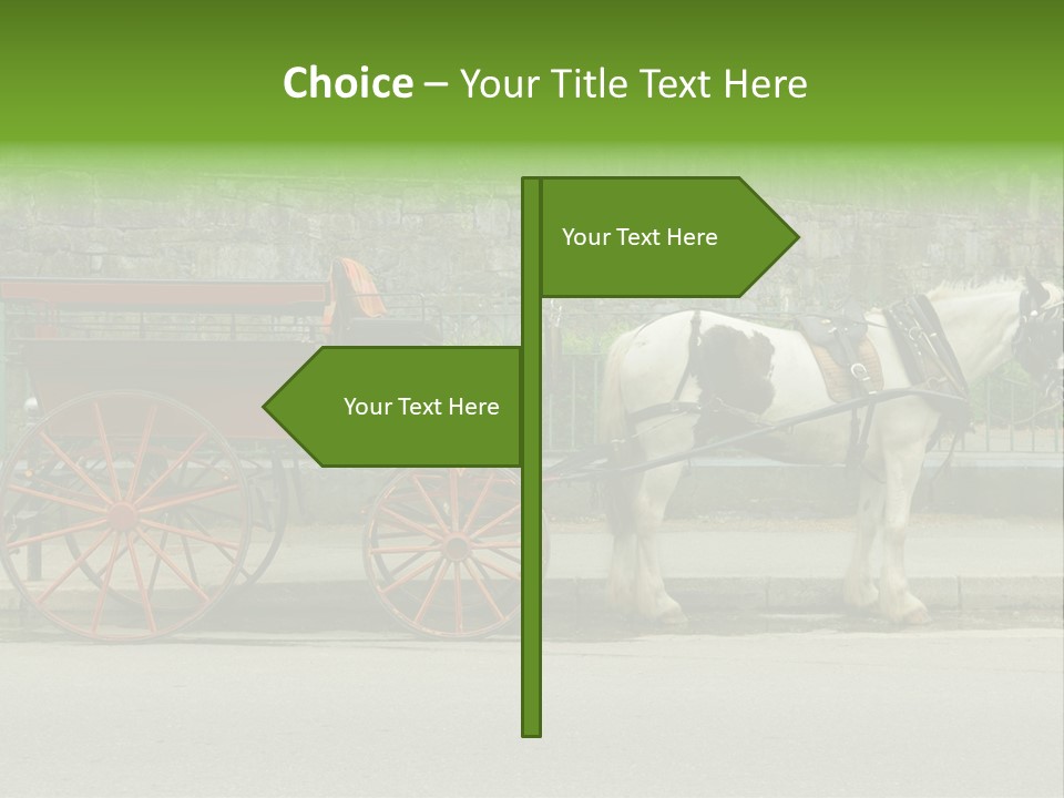 Wild Wild Animal White Background PowerPoint Template