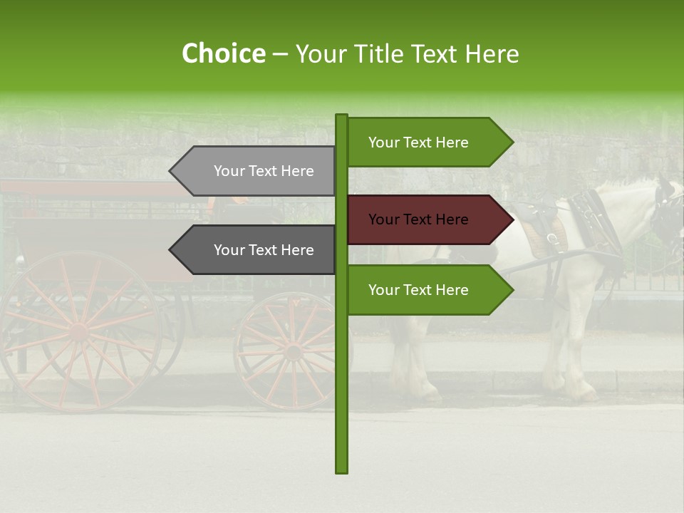 Wild Wild Animal White Background PowerPoint Template