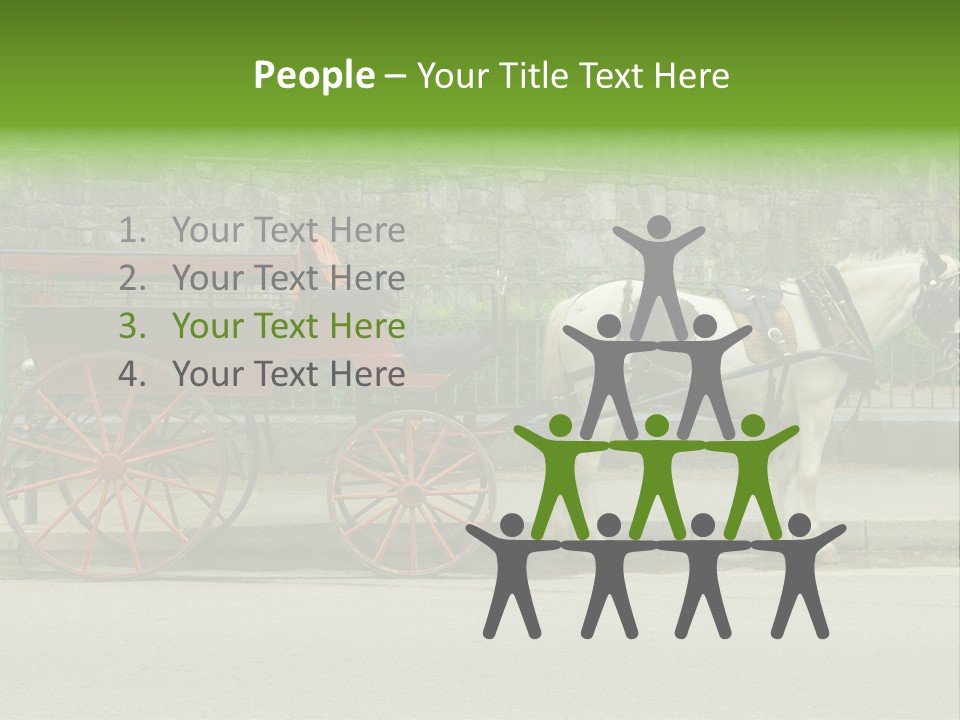 Wild Wild Animal White Background PowerPoint Template