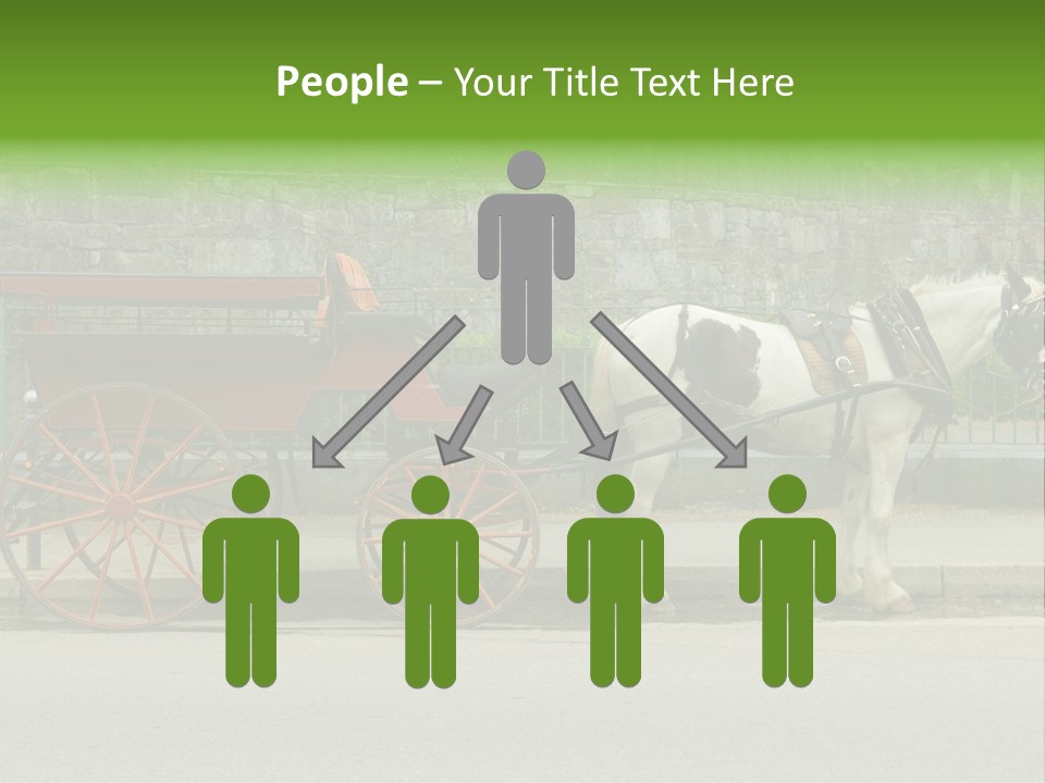 Wild Wild Animal White Background PowerPoint Template