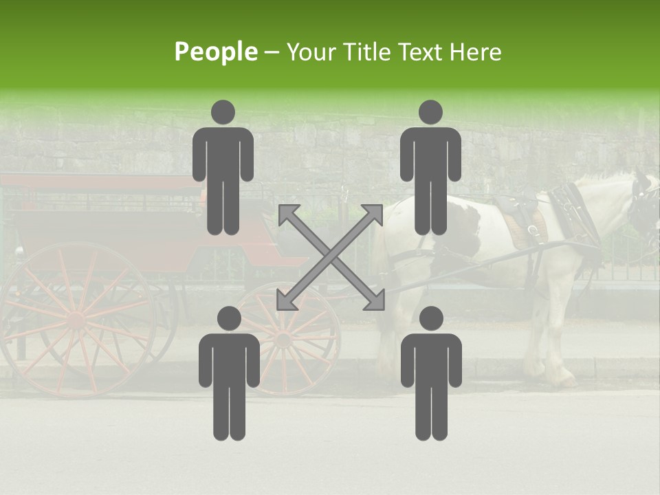 Wild Wild Animal White Background PowerPoint Template