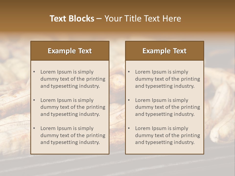 Barbecue Fruit Bangkok PowerPoint Template