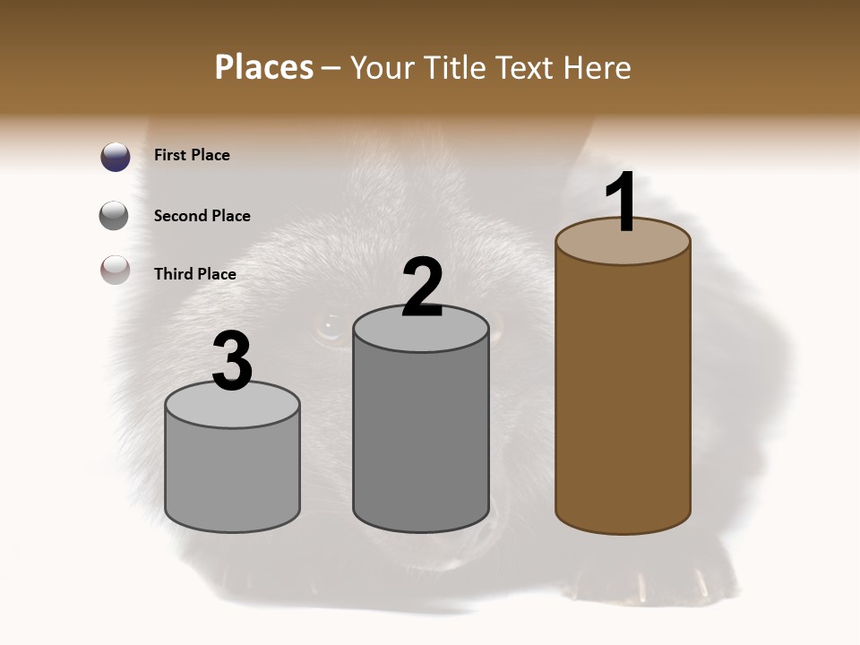 Wild Wild Animal White Background PowerPoint Template