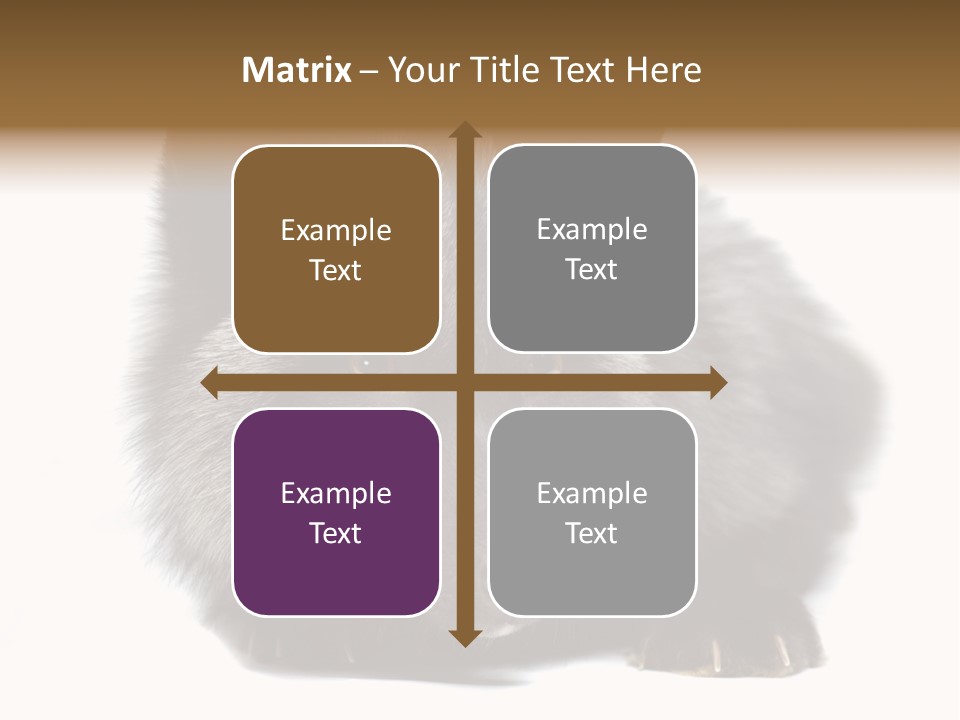 Wild Wild Animal White Background PowerPoint Template