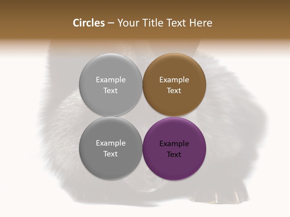 Wild Wild Animal White Background PowerPoint Template