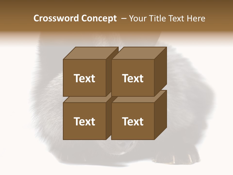 Wild Wild Animal White Background PowerPoint Template