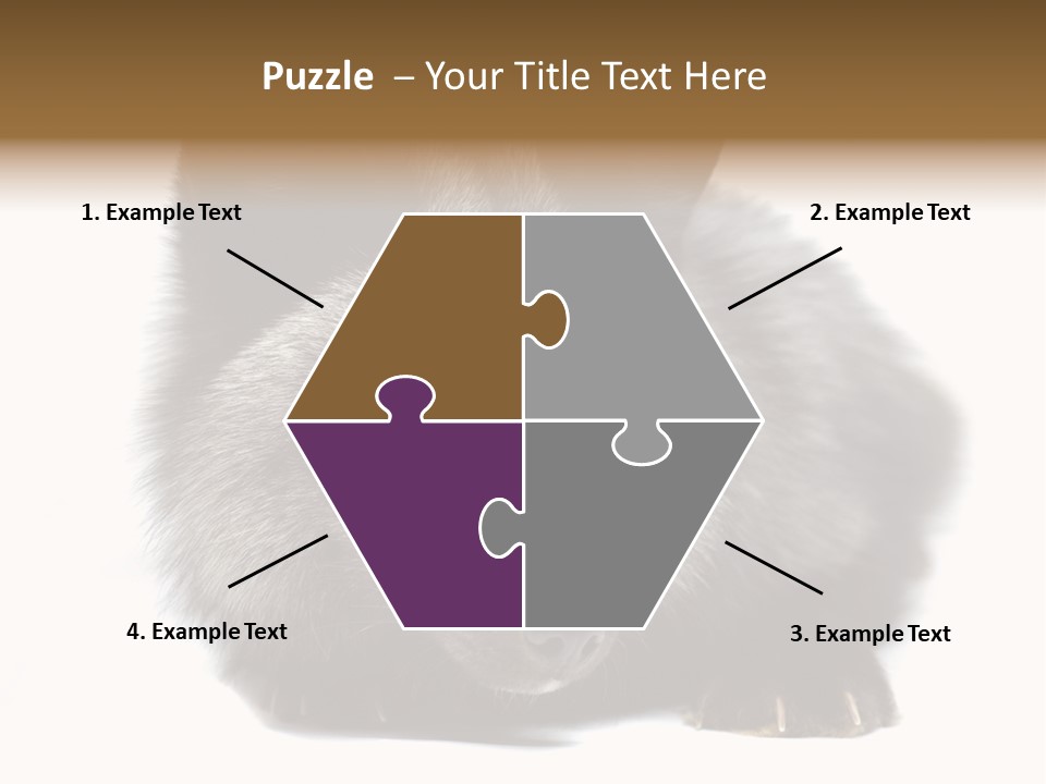 Wild Wild Animal White Background PowerPoint Template