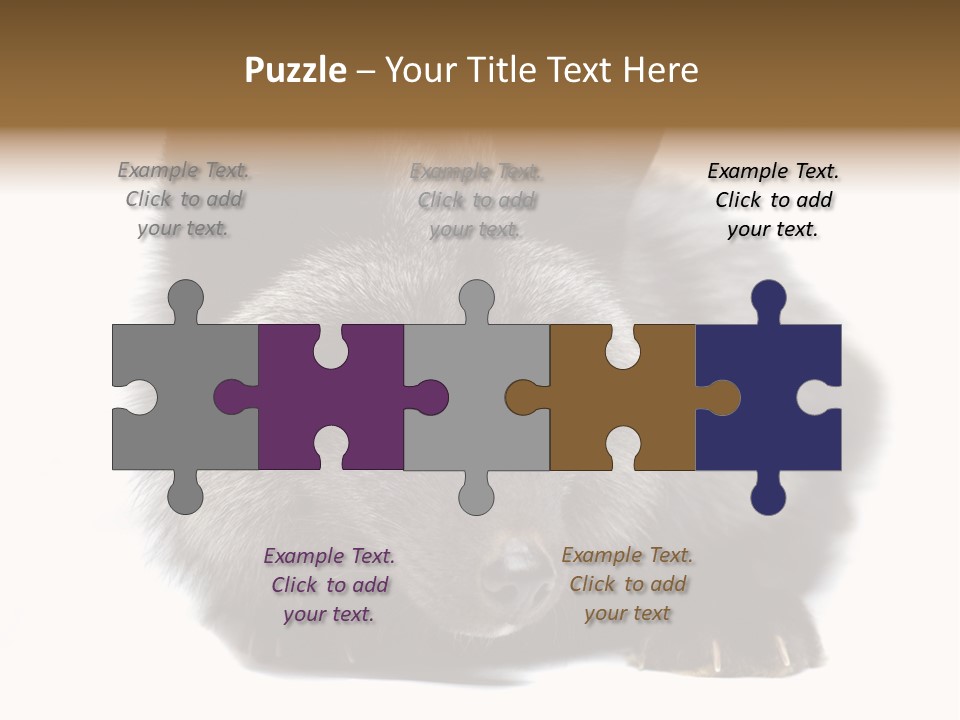 Wild Wild Animal White Background PowerPoint Template