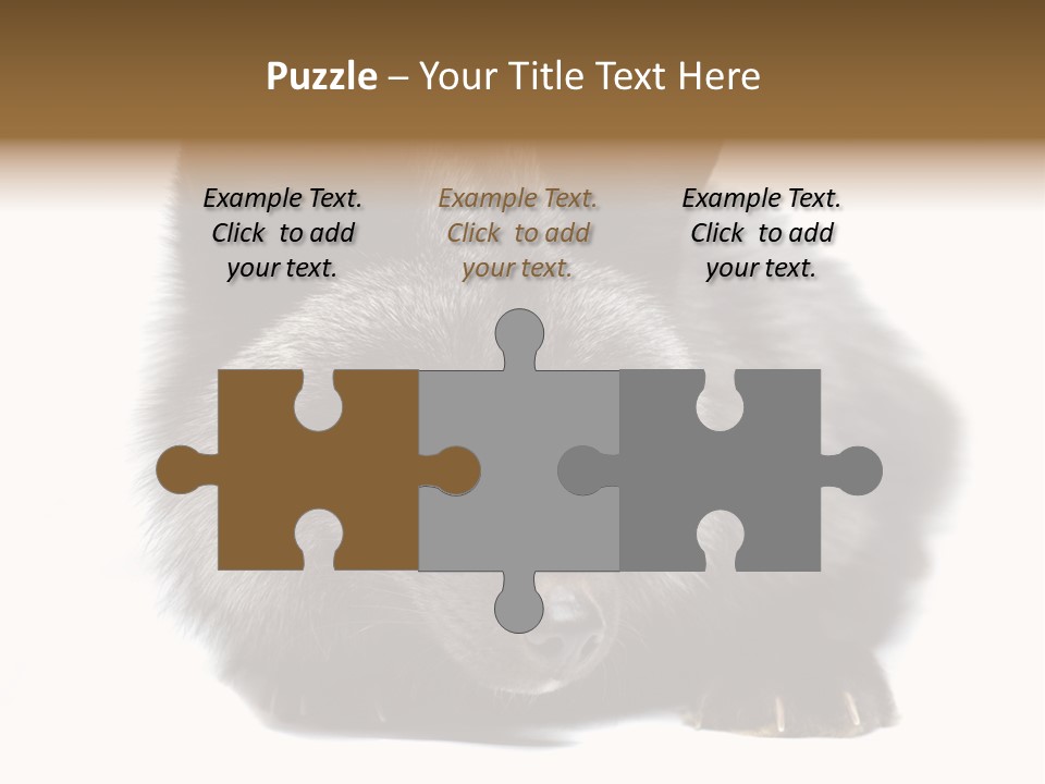 Wild Wild Animal White Background PowerPoint Template