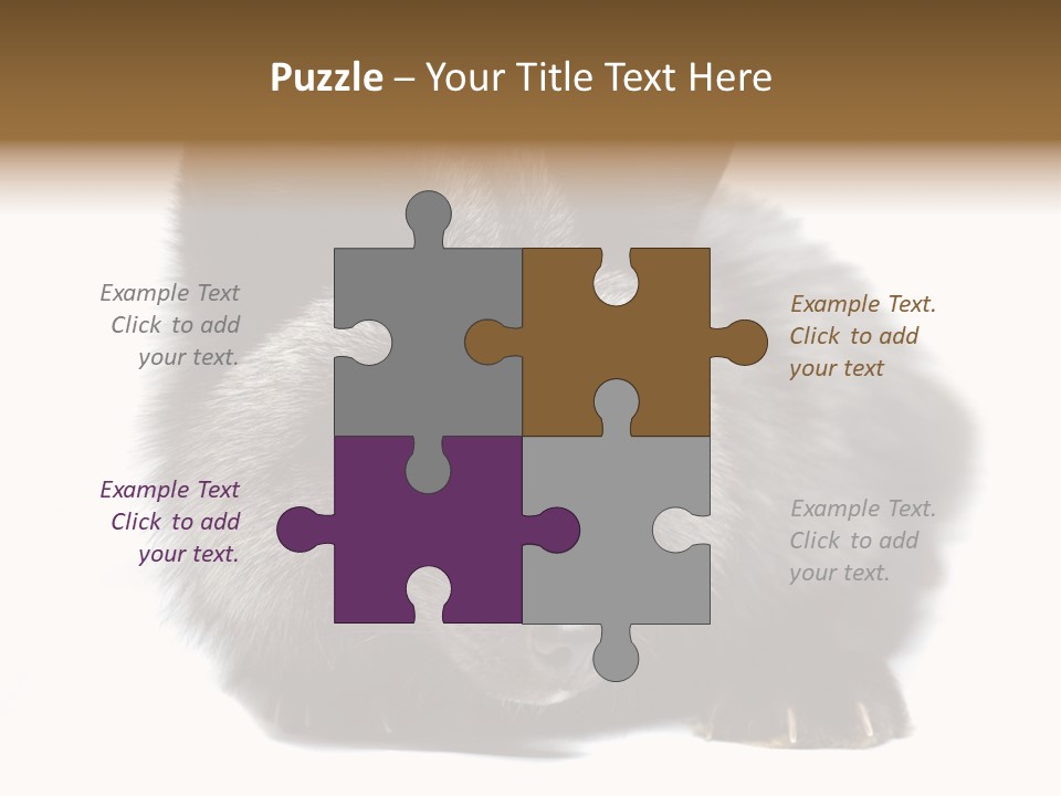 Wild Wild Animal White Background PowerPoint Template