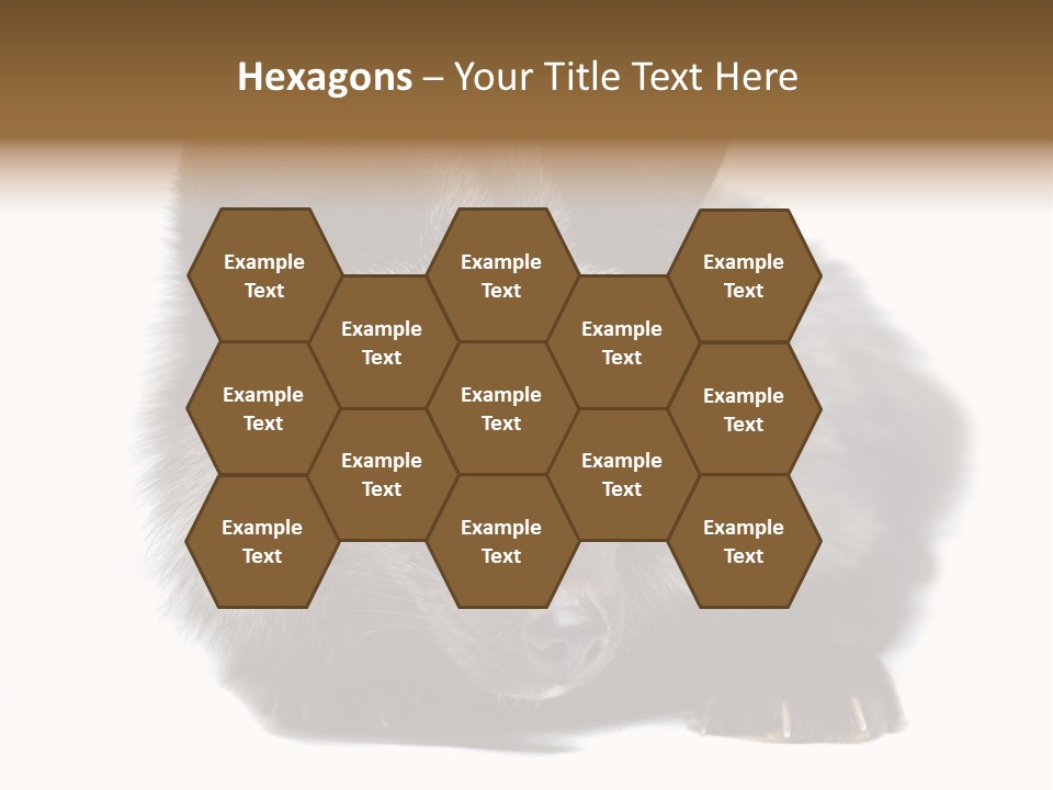 Wild Wild Animal White Background PowerPoint Template