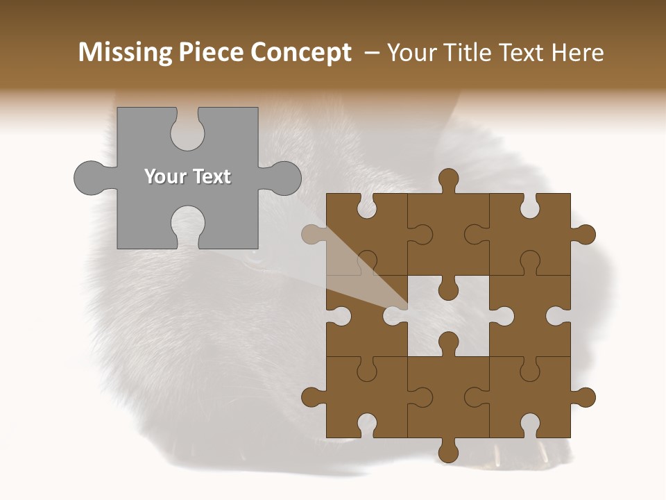 Wild Wild Animal White Background PowerPoint Template