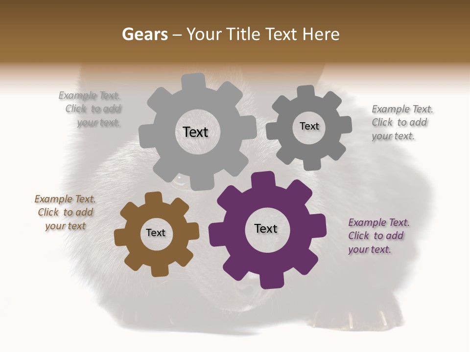 Wild Wild Animal White Background PowerPoint Template