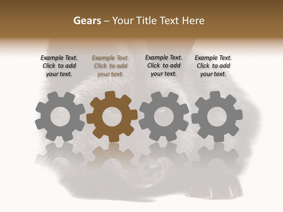 Wild Wild Animal White Background PowerPoint Template