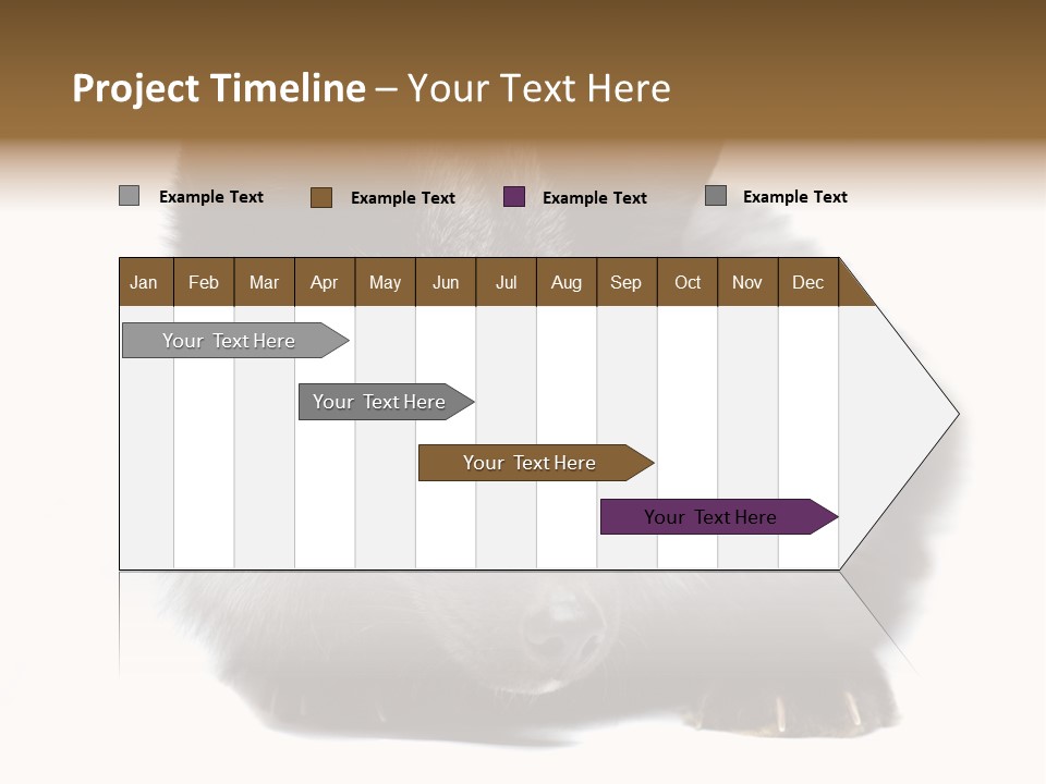 Wild Wild Animal White Background PowerPoint Template