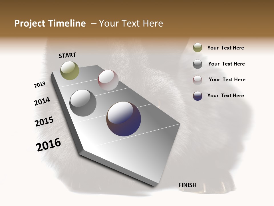 Wild Wild Animal White Background PowerPoint Template