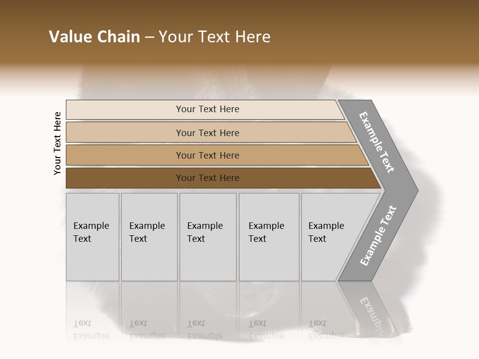 Wild Wild Animal White Background PowerPoint Template