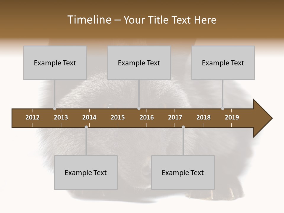 Wild Wild Animal White Background PowerPoint Template