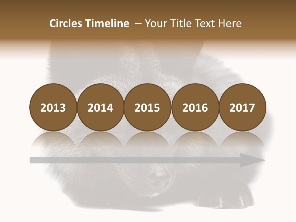 Wild Wild Animal White Background PowerPoint Template