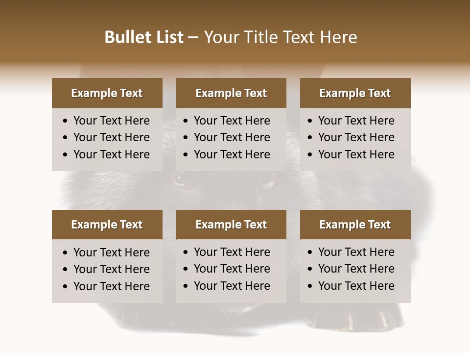 Wild Wild Animal White Background PowerPoint Template