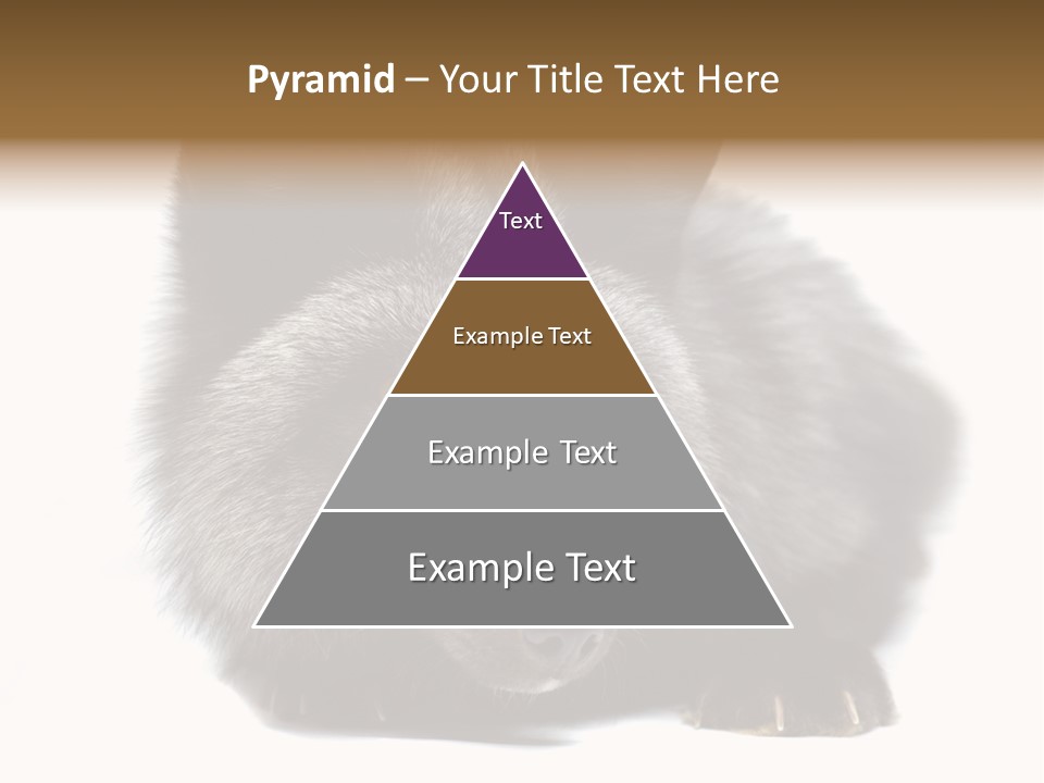 Wild Wild Animal White Background PowerPoint Template