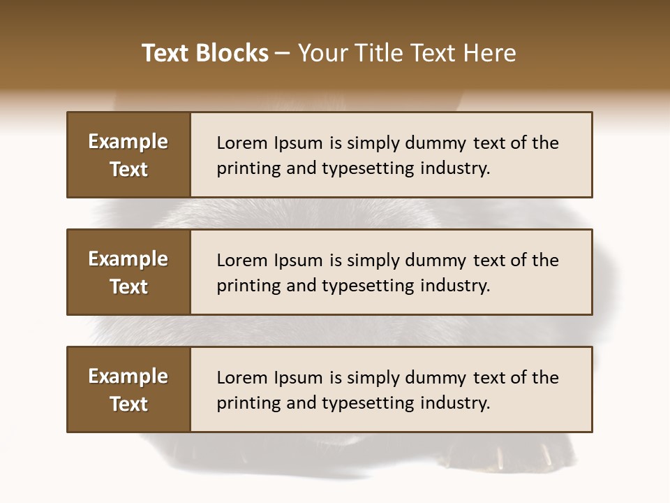 Wild Wild Animal White Background PowerPoint Template