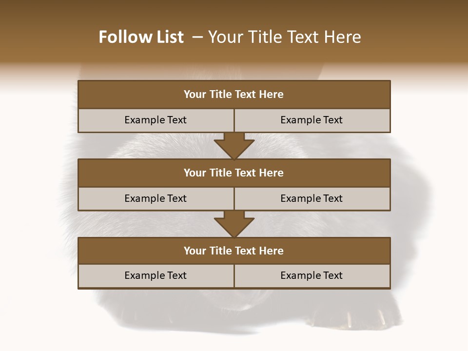 Wild Wild Animal White Background PowerPoint Template