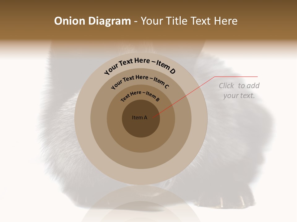 Wild Wild Animal White Background PowerPoint Template