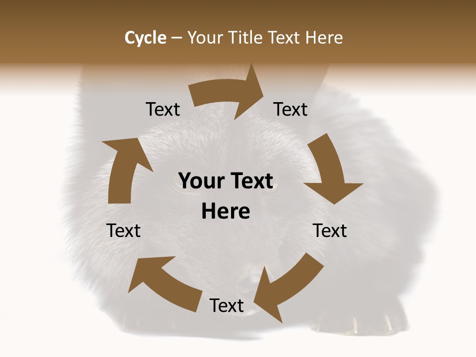 Wild Wild Animal White Background PowerPoint Template