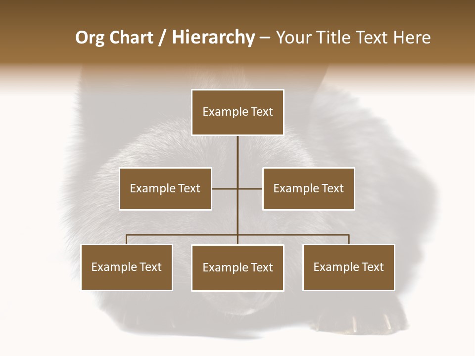 Wild Wild Animal White Background PowerPoint Template