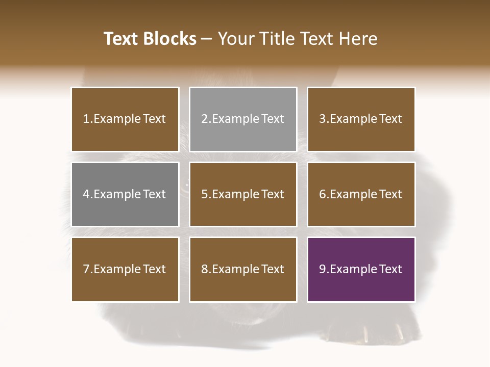 Wild Wild Animal White Background PowerPoint Template