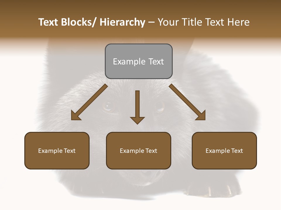 Wild Wild Animal White Background PowerPoint Template