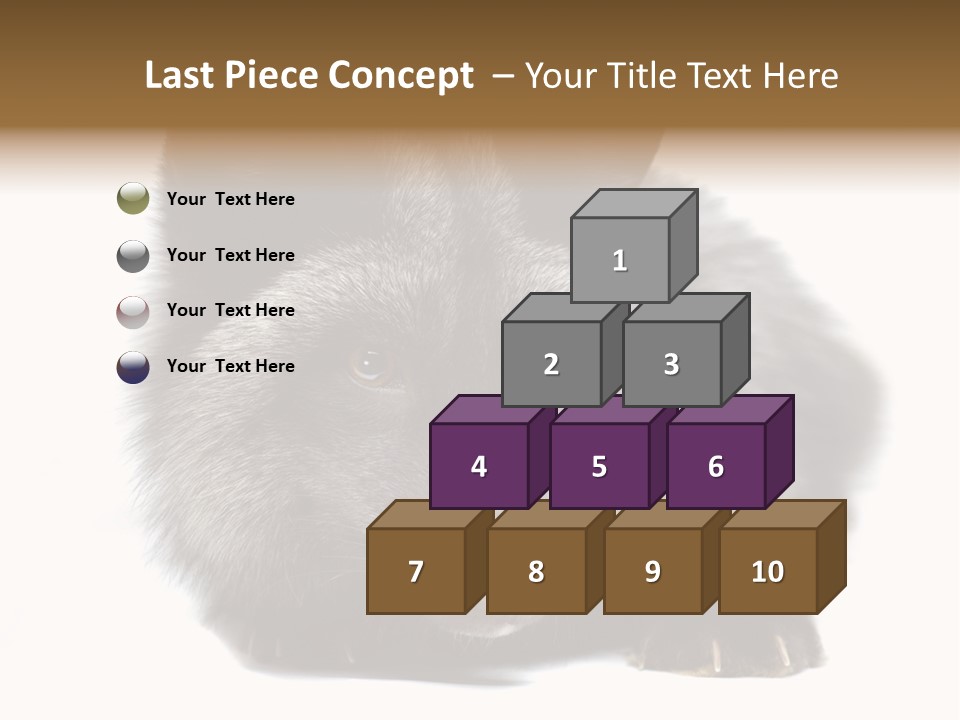 Wild Wild Animal White Background PowerPoint Template