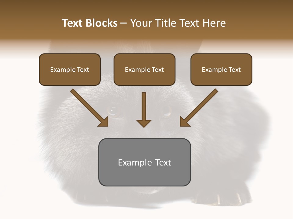 Wild Wild Animal White Background PowerPoint Template