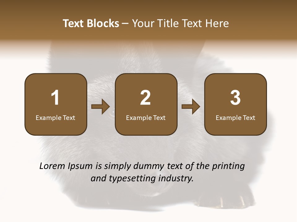 Wild Wild Animal White Background PowerPoint Template