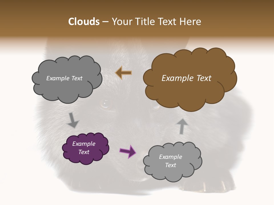 Wild Wild Animal White Background PowerPoint Template