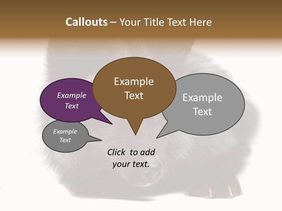 Wild Wild Animal White Background PowerPoint Template